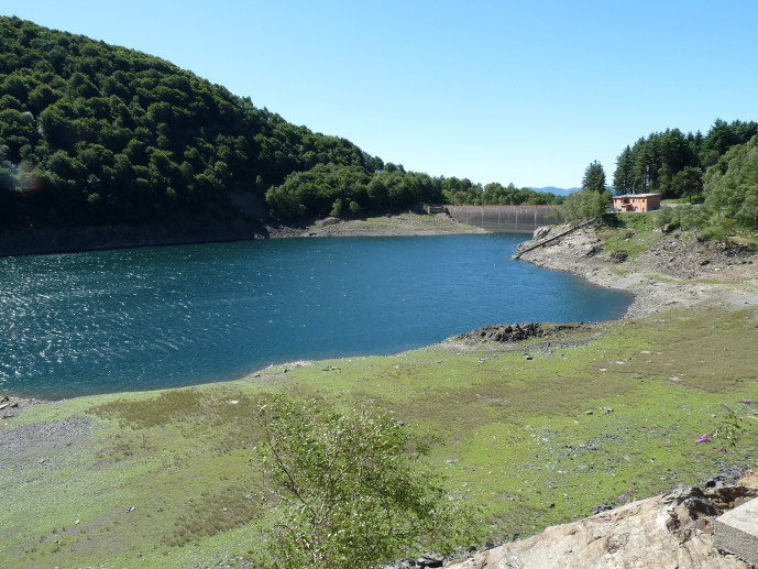 Lago Delio