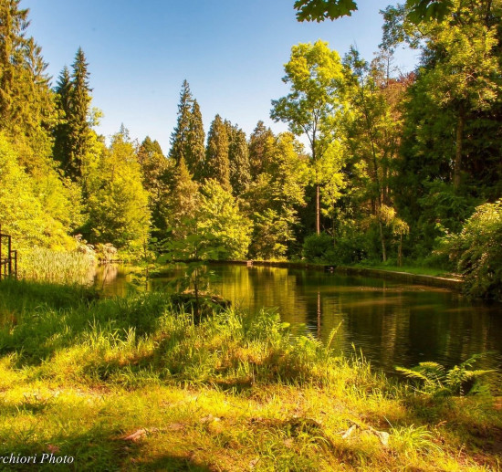 Parco dell'Argentera