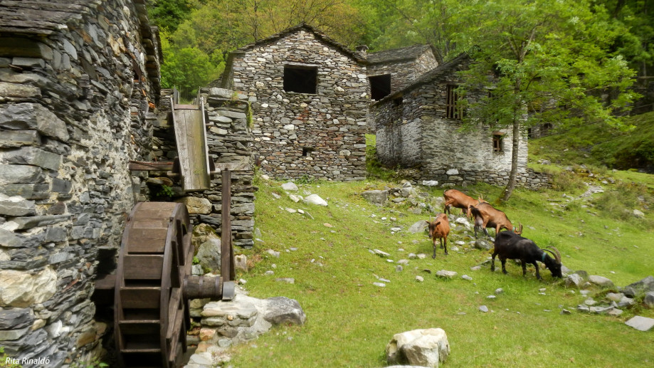 Ancient mills and rural structures 