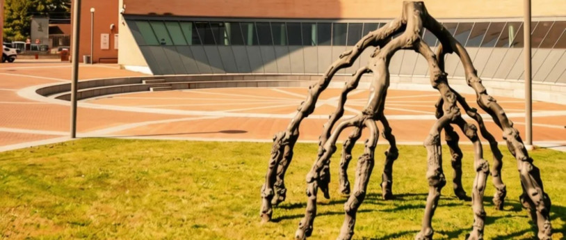 Novembre 2026: i principali eventi in provincia di Varese