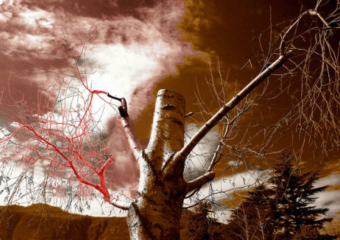 “Scossa”: 73 opere per l’ambiente in mostra a Villa Pomini di Castellanza “Scossa”: 73 opere per l’ambiente in mostra a Villa Pomini di Castellanza