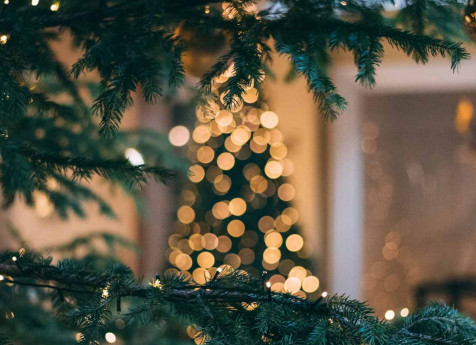 La Fiera del Cardinale - Mercatino di Natale La Fiera del Cardinale - Mercatino di Natale