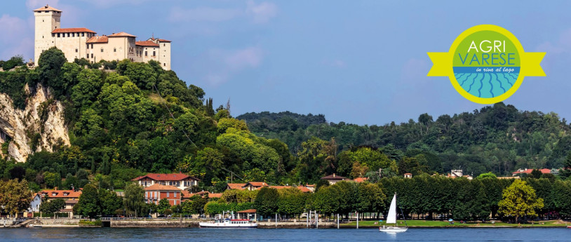 Agrivarese in riva al Lago