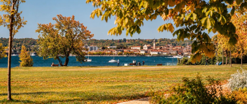 Ottobre 2026: i principali eventi in provincia di Varese