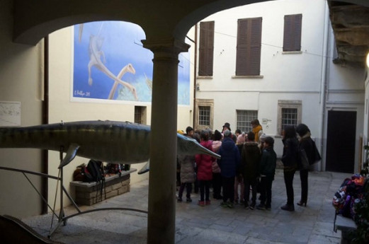 Museo Civico dei Fossili di Besano Museo Civico dei Fossili di Besano