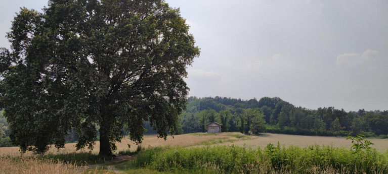 Attraverso la storia della Valle Olona