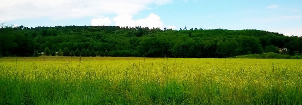 Monte San Giacomo 