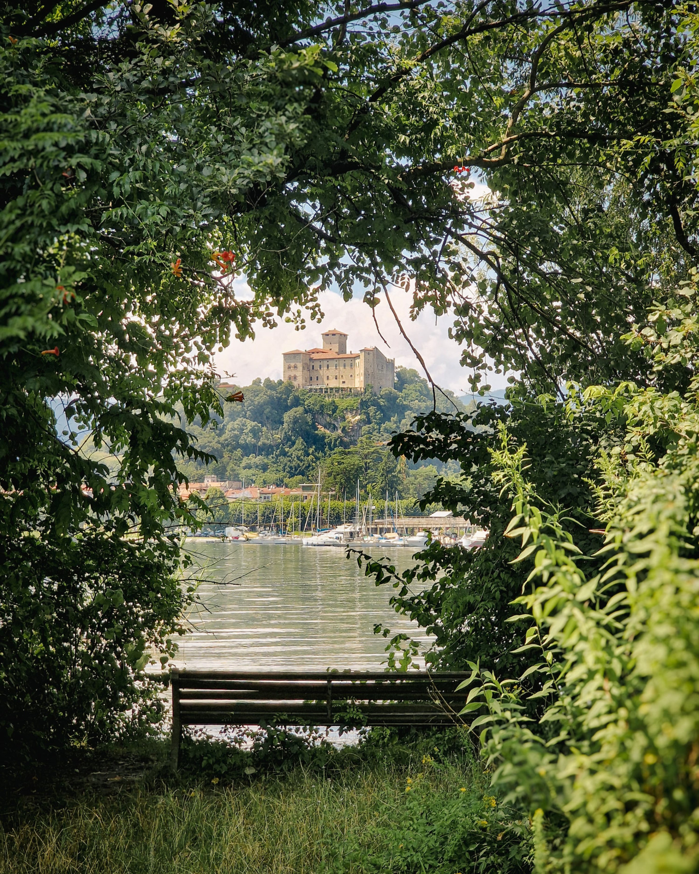 Vista della rocca di Angera dalla riva del lago. La Rocca, al centro dello scatto, è incorniciata da piante verdi in primo piano. Tra i due si vede il lago con barche a vela che lo navigano.