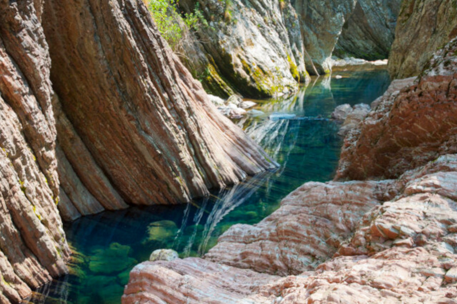 Un affascinante particolare dell’ambiente naturale del Parco Gole della Breggia