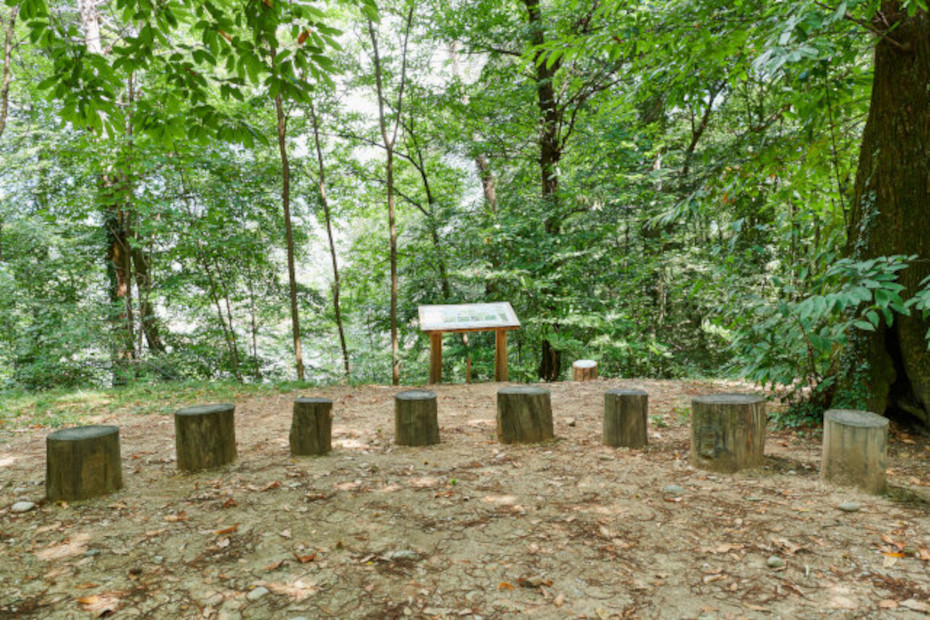 L’aula nel bosco al parco del Penz di Chiasso