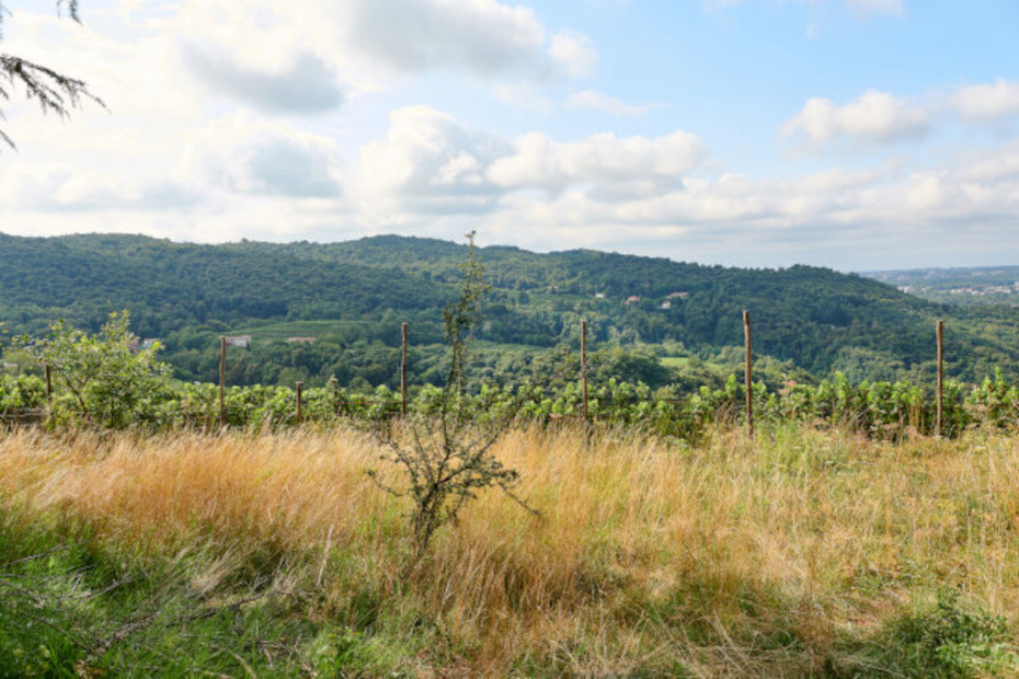 Panorama dell’area naturalistica