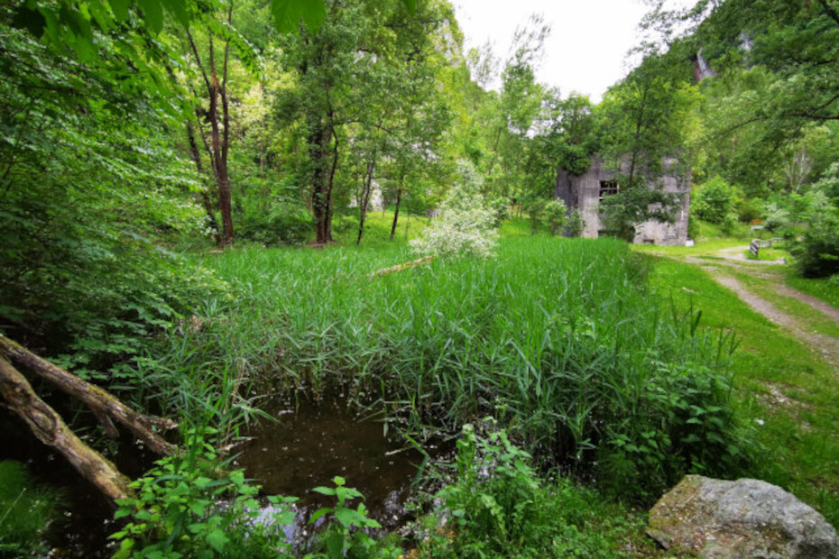 Il biotopo nel parco Gole della Breggia di Morbio Inferiore (CH)