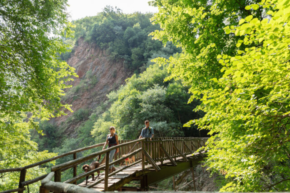 L’itinerario geologico del Parco Gole della Breggia nel Mendrisiotto