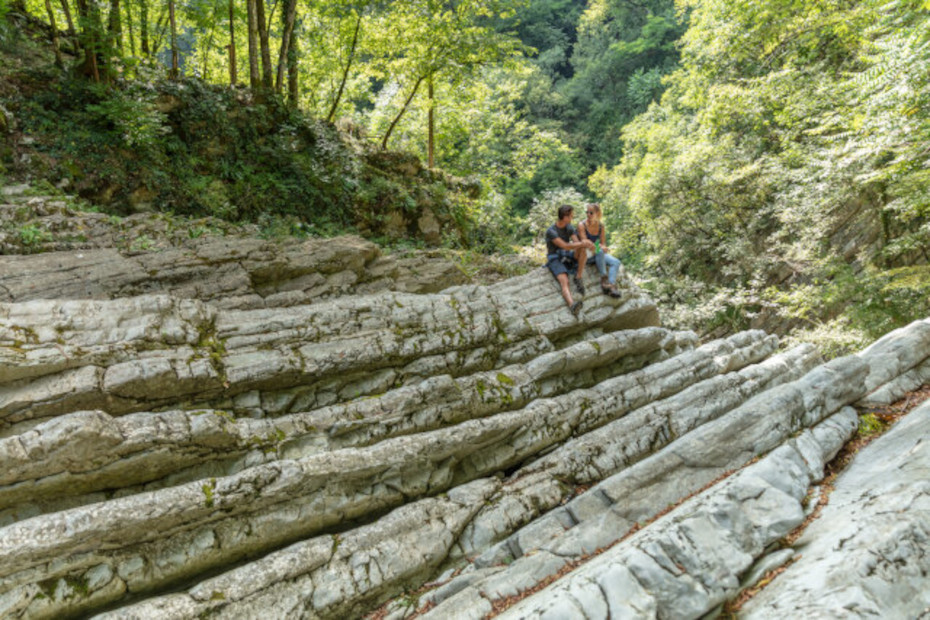 Suggestiva foto dell’ambiente del fiume Breggia