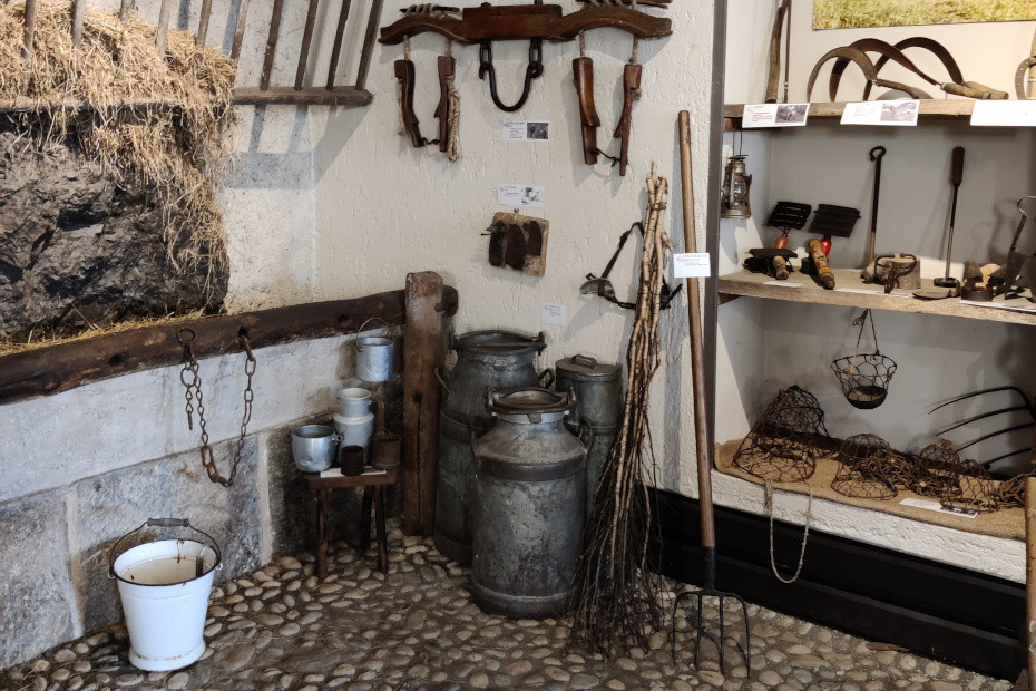 Uno degli allestimenti all’interno del museo (Ph. insubriparks)