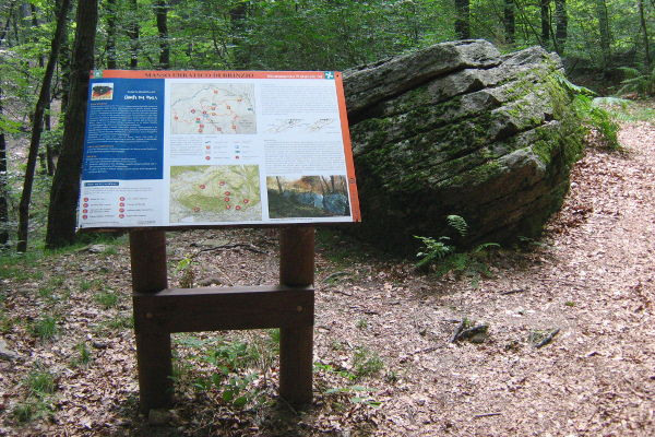 Parco Campo dei Fiori a Varese