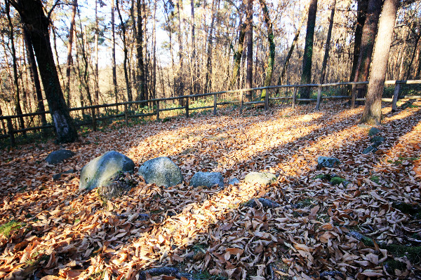 Area archeologica Monsorino di Golasecca